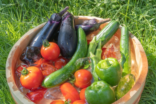旬の食べ物を食べていますか？～夏の野菜編～夏野菜にはどんな栄養があるのか？